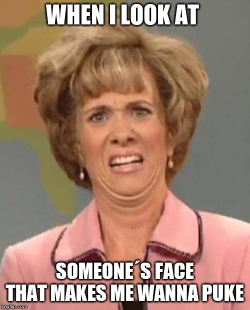 Disgusted Kristin Wiig | WHEN I LOOK AT SOMEONE´S FACE THAT MAKES ME WANNA PUKE | image tagged in disgusted kristin wiig | made w/ Imgflip meme maker