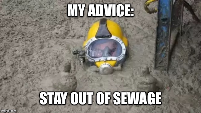 Sewage diver | MY ADVICE: STAY OUT OF SEWAGE | image tagged in sewage diver | made w/ Imgflip meme maker