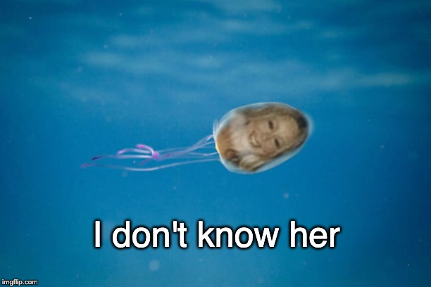 3l8h47.jpg