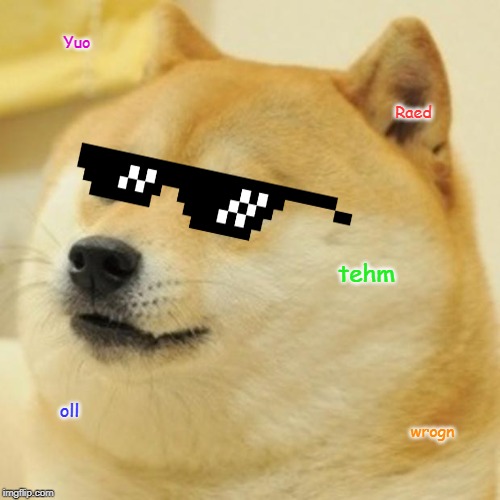 Doge Meme | Yuo; Raed; tehm; oll; wrogn | image tagged in memes,doge | made w/ Imgflip meme maker