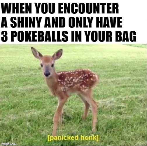 Shiny Hunt | WHEN YOU ENCOUNTER A SHINY AND ONLY HAVE 3 POKEBALLS IN YOUR BAG | image tagged in honk,pokemon,shiny,hunting,fail,nervous | made w/ Imgflip meme maker