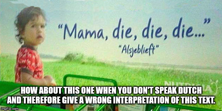 HOW ABOUT THIS ONE WHEN YOU DON'T SPEAK DUTCH AND THEREFORE GIVE A WRONG INTERPRETATION OF THIS TEXT. | made w/ Imgflip meme maker
