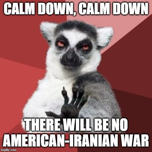 Chill Out Lemur | CALM DOWN, CALM DOWN; THERE WILL BE NO AMERICAN-IRANIAN WAR | image tagged in memes,chill out lemur,america,iran,war,calm down | made w/ Imgflip meme maker