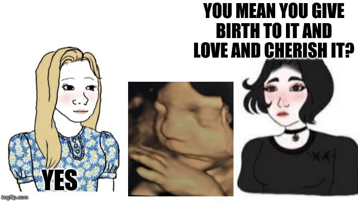 Yes | YOU MEAN YOU GIVE BIRTH TO IT AND LOVE AND CHERISH IT? YES | image tagged in yes,baby,antiabortion | made w/ Imgflip meme maker