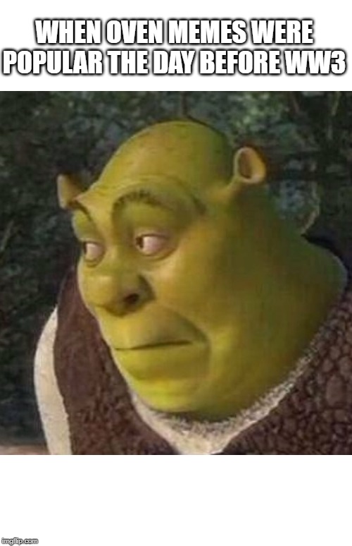 Shrek | WHEN OVEN MEMES WERE POPULAR THE DAY BEFORE WW3 | image tagged in shrek | made w/ Imgflip meme maker