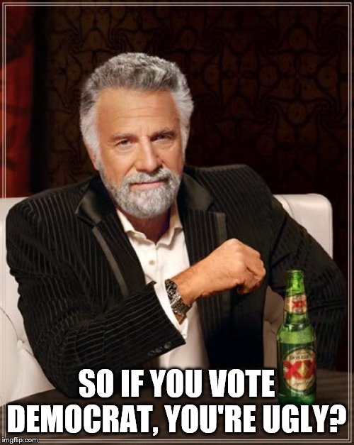 The Most Interesting Man In The World Meme | SO IF YOU VOTE DEMOCRAT, YOU'RE UGLY? | image tagged in memes,the most interesting man in the world | made w/ Imgflip meme maker