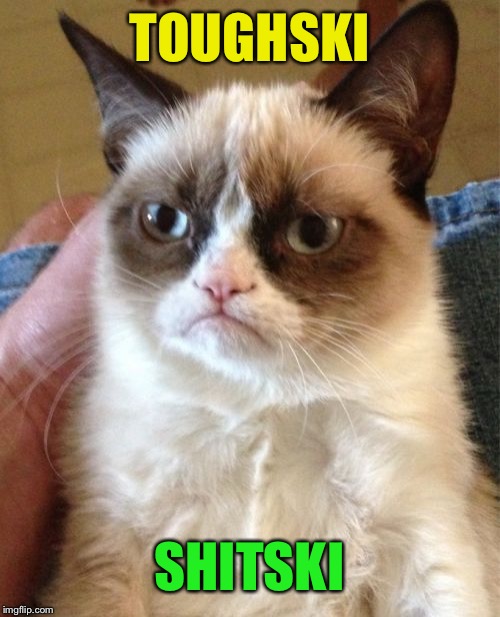 Grumpy Cat Meme | TOUGHSKI SHITSKI | image tagged in memes,grumpy cat | made w/ Imgflip meme maker