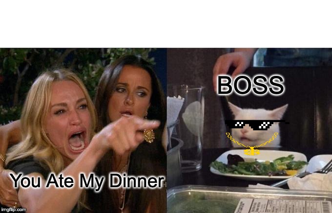 Woman Yelling At Cat | BOSS; You Ate My Dinner | image tagged in memes,woman yelling at cat | made w/ Imgflip meme maker