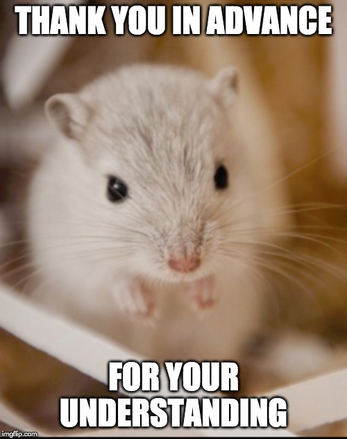 Gerbil5 ty in advance | THANK YOU IN ADVANCE; FOR YOUR UNDERSTANDING | image tagged in gerbil5 ty in advance | made w/ Imgflip meme maker