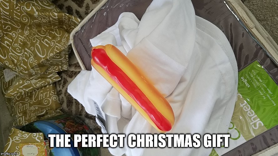 hotdog | THE PERFECT CHRISTMAS GIFT | image tagged in funny | made w/ Imgflip meme maker