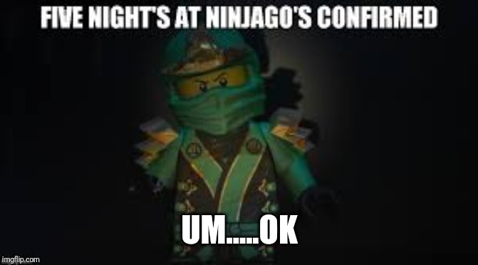 Ninjago meme | UM.....OK | image tagged in ninjago meme | made w/ Imgflip meme maker