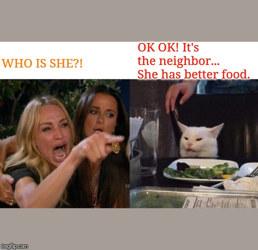 Woman Yelling At Cat | OK OK! It's the neighbor... She has better food. WHO IS SHE?! | image tagged in memes,woman yelling at cat | made w/ Imgflip meme maker