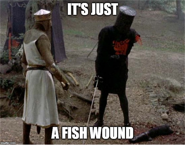FLesh wound | IT'S JUST A FISH WOUND | image tagged in flesh wound | made w/ Imgflip meme maker