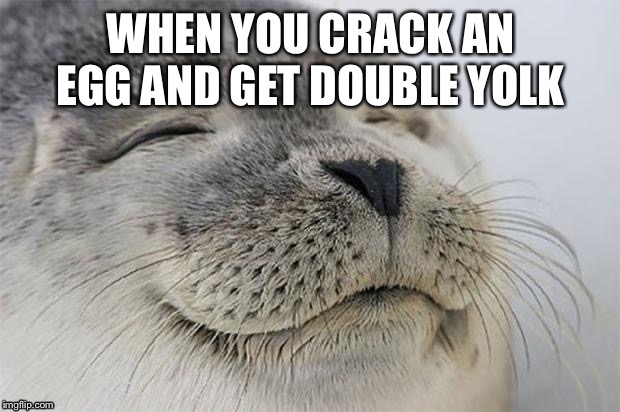 Two birds one shell | WHEN YOU CRACK AN EGG AND GET DOUBLE YOLK | image tagged in memes,satisfied seal | made w/ Imgflip meme maker