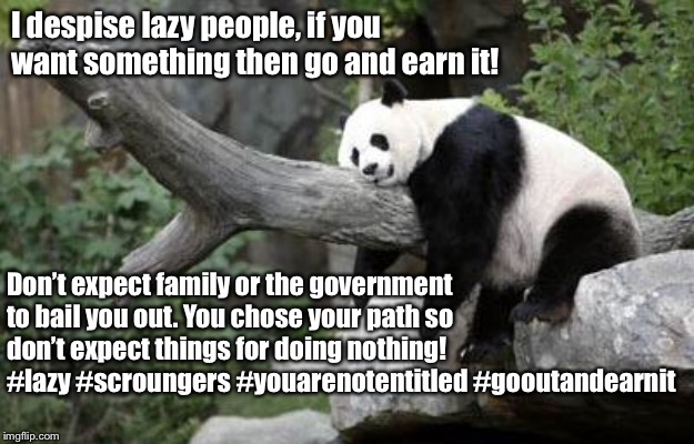 lazy panda | I despise lazy people, if you want something then go and earn it! Don’t expect family or the government to bail you out. You chose your path so don’t expect things for doing nothing! #lazy #scroungers #youarenotentitled #gooutandearnit | image tagged in lazy panda | made w/ Imgflip meme maker