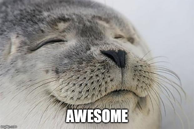 Satisfied Seal Meme | AWESOME | image tagged in memes,satisfied seal | made w/ Imgflip meme maker