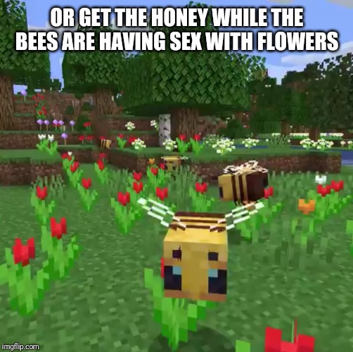 Minecraft bees | OR GET THE HONEY WHILE THE BEES ARE HAVING SEX WITH FLOWERS | image tagged in minecraft bees | made w/ Imgflip meme maker