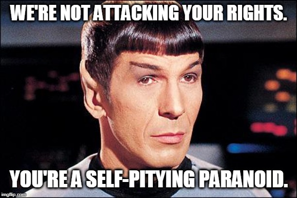 Condescending Spock | WE'RE NOT ATTACKING YOUR RIGHTS. YOU'RE A SELF-PITYING PARANOID. | image tagged in condescending spock | made w/ Imgflip meme maker