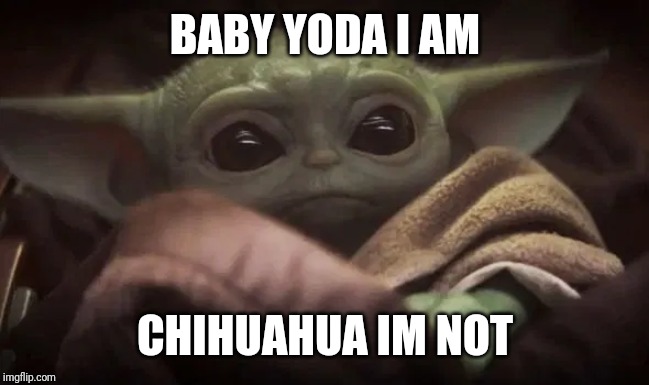 Baby Yoda | BABY YODA I AM CHIHUAHUA IM NOT | image tagged in baby yoda | made w/ Imgflip meme maker