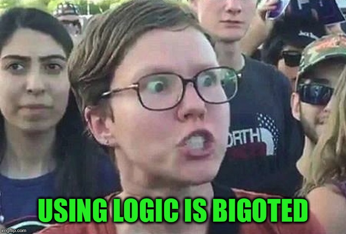 Triggered Liberal | USING LOGIC IS BIGOTED | image tagged in triggered liberal | made w/ Imgflip meme maker