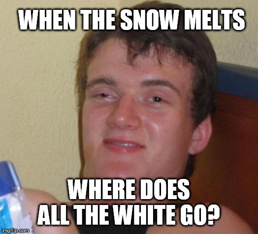 10 Guy | WHEN THE SNOW MELTS; WHERE DOES ALL THE WHITE GO? | image tagged in memes,10 guy,snow | made w/ Imgflip meme maker