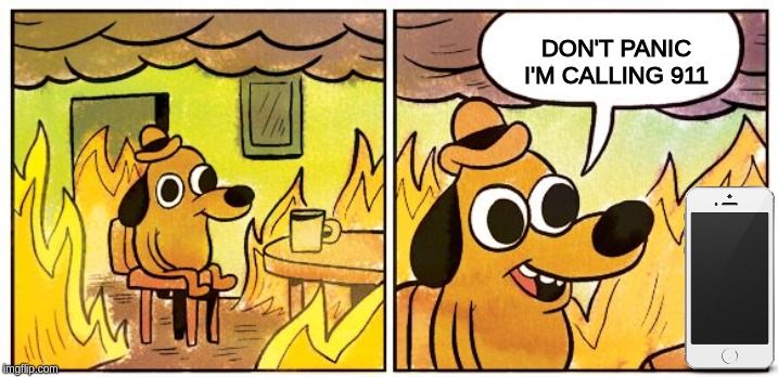 This Is Fine Meme | DON'T PANIC I'M CALLING 911 | image tagged in this is fine dog | made w/ Imgflip meme maker