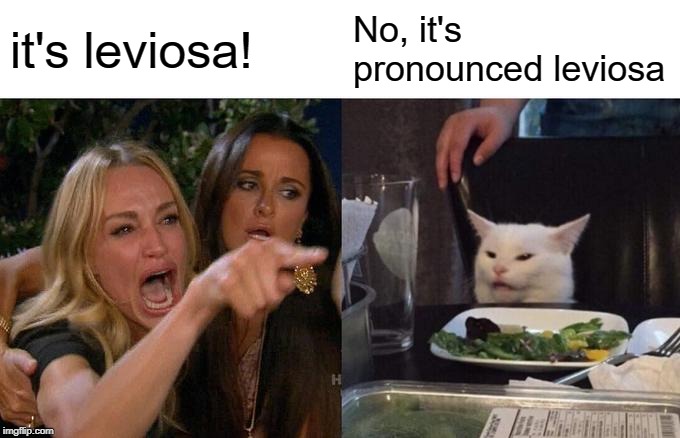 Woman Yelling At Cat | it's leviosa! No, it's pronounced leviosa | image tagged in memes,woman yelling at cat | made w/ Imgflip meme maker