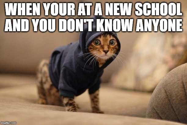 Hoody Cat Meme | WHEN YOUR AT A NEW SCHOOL AND YOU DON'T KNOW ANYONE | image tagged in memes,hoody cat | made w/ Imgflip meme maker