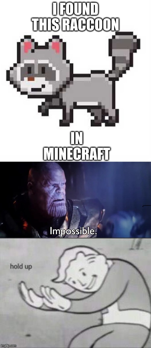 I FOUND THIS RACCOON; IN MINECRAFT | image tagged in fallout hold up,thanos impossible,raccon | made w/ Imgflip meme maker