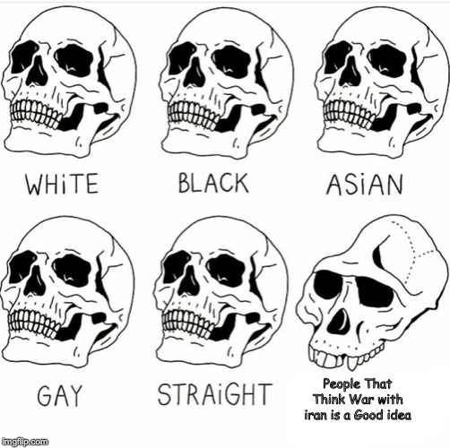 Skull Comparison | People That Think War with iran is a Good idea | image tagged in skull comparison | made w/ Imgflip meme maker