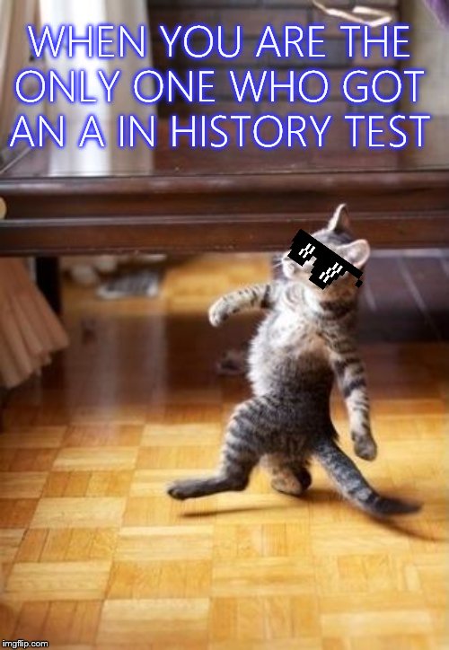 Cool Cat Stroll Meme | WHEN YOU ARE THE ONLY ONE WHO GOT AN A IN HISTORY TEST | image tagged in memes,cool cat stroll | made w/ Imgflip meme maker