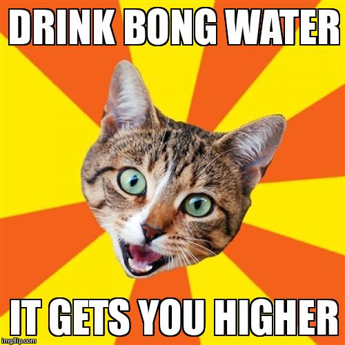 Bad Advice Cat | image tagged in memes,bad advice cat | made w/ Imgflip meme maker