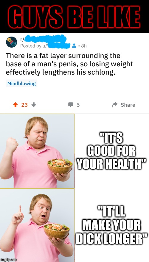 Lemme drop a little troof on ya | GUYS BE LIKE; "IT'S GOOD FOR YOUR HEALTH"; "IT'LL MAKE YOUR DICK LONGER" | image tagged in memes,drake hotline bling,reddit,dick jokes,eating healthy,guys be like | made w/ Imgflip meme maker