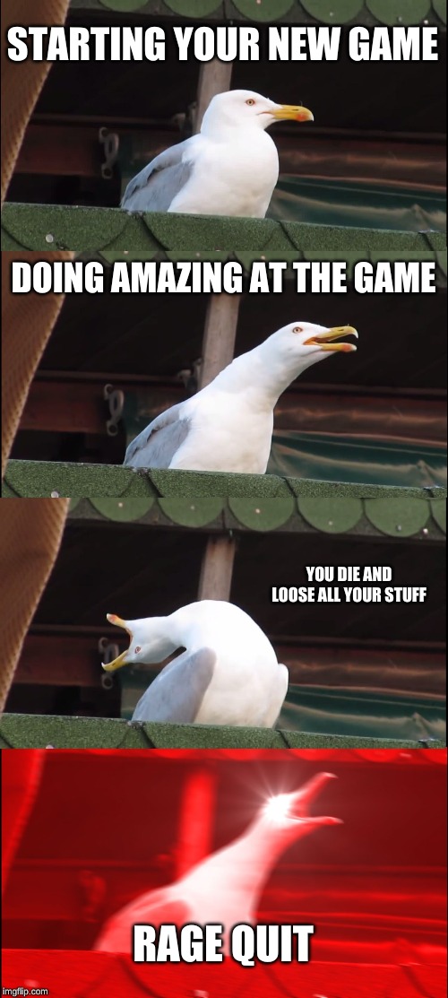 Inhaling Seagull | STARTING YOUR NEW GAME; DOING AMAZING AT THE GAME; YOU DIE AND LOOSE ALL YOUR STUFF; RAGE QUIT | image tagged in memes,inhaling seagull | made w/ Imgflip meme maker