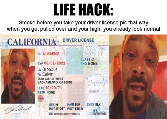 Life Hack High On Drivers License Blank Meme Template