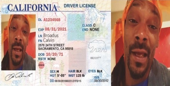 Life Hack High On Drivers License Blank Meme Template