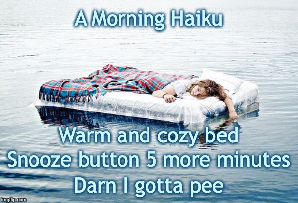 A Morning Haiku | A Morning Haiku; Warm and cozy bed; Snooze button 5 more minutes; Darn I gotta pee | image tagged in haiku | made w/ Imgflip meme maker