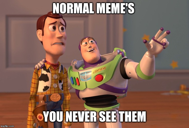 X, X Everywhere Meme | NORMAL MEME'S; YOU NEVER SEE THEM | image tagged in memes,x x everywhere | made w/ Imgflip meme maker