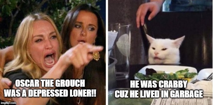 HE WAS CRABBY CUZ HE LIVED IN GARBAGE; OSCAR THE GROUCH WAS A DEPRESSED LONER!! | image tagged in smudge the cat | made w/ Imgflip meme maker