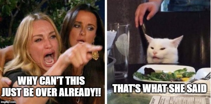THAT'S WHAT SHE SAID; WHY CAN'T THIS JUST BE OVER ALREADY!! | image tagged in smudge the cat | made w/ Imgflip meme maker