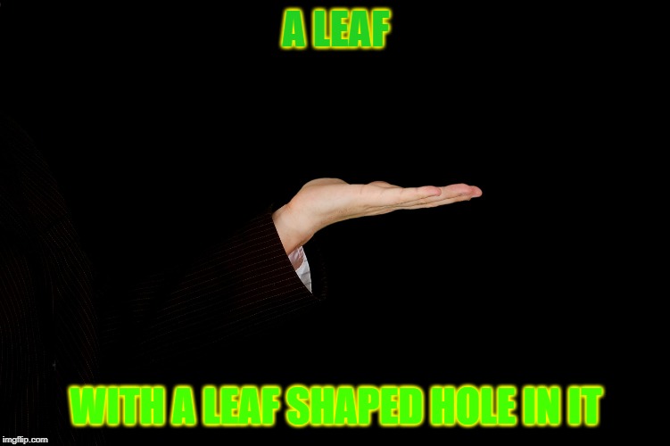 leaf wit a hole in it | A LEAF; WITH A LEAF SHAPED HOLE IN IT | image tagged in empty hand | made w/ Imgflip meme maker