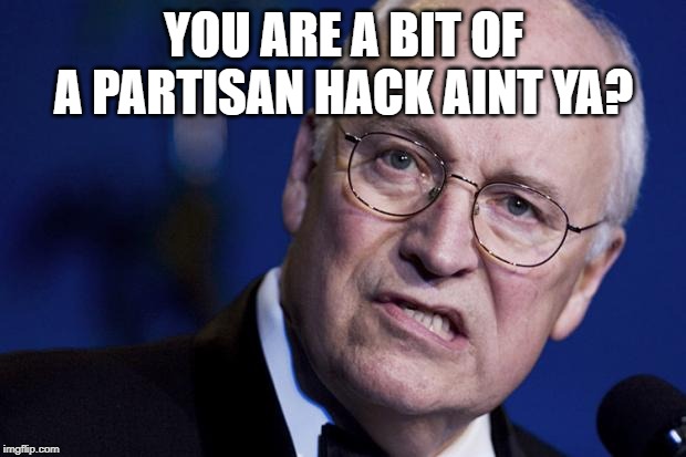 scumbag dick cheney | YOU ARE A BIT OF A PARTISAN HACK AINT YA? | image tagged in scumbag dick cheney | made w/ Imgflip meme maker