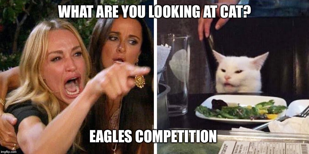 Smudge the cat | WHAT ARE YOU LOOKING AT CAT? EAGLES COMPETITION | image tagged in smudge the cat | made w/ Imgflip meme maker