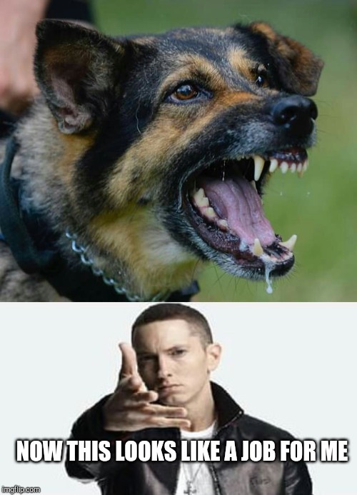 NOW THIS LOOKS LIKE A JOB FOR ME | image tagged in eminem | made w/ Imgflip meme maker