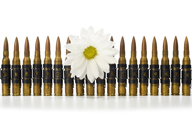 Flower Ammunition Blank Meme Template