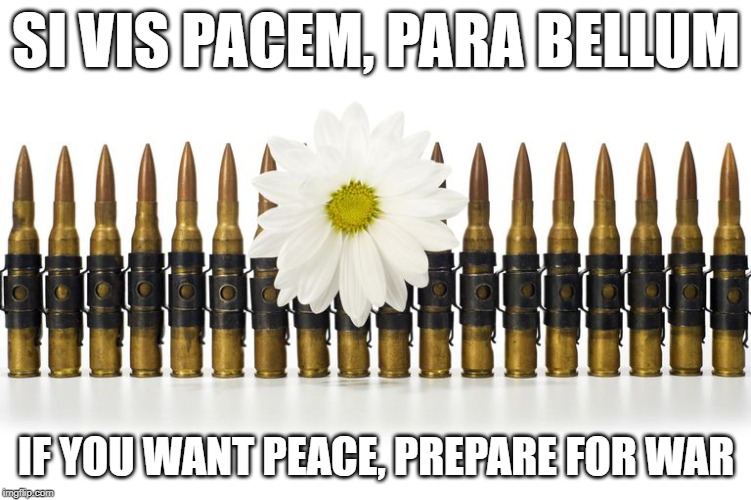 Flower Ammunition | SI VIS PACEM, PARA BELLUM; IF YOU WANT PEACE, PREPARE FOR WAR | image tagged in flower ammunition | made w/ Imgflip meme maker