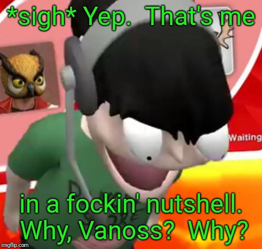 Nogla Face | *sigh* Yep.  That's me in a fockin' nutshell.  Why, Vanoss?  Why? | image tagged in nogla face | made w/ Imgflip meme maker
