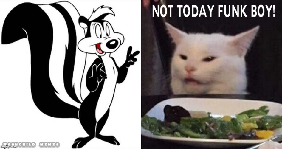 Stupid Cat Meme 6 | image tagged in stupid cat meme 6 | made w/ Imgflip meme maker