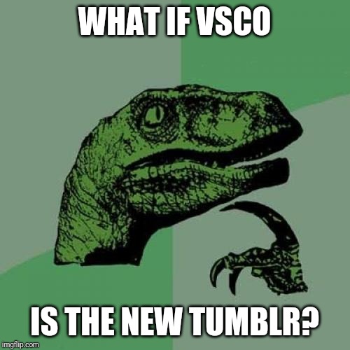 Philosoraptor Meme | WHAT IF VSCO; IS THE NEW TUMBLR? | image tagged in memes,philosoraptor | made w/ Imgflip meme maker