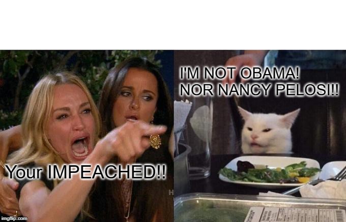 Woman Yelling At Cat | I'M NOT OBAMA! NOR NANCY PELOSI!! Your IMPEACHED!! | image tagged in memes,woman yelling at cat | made w/ Imgflip meme maker